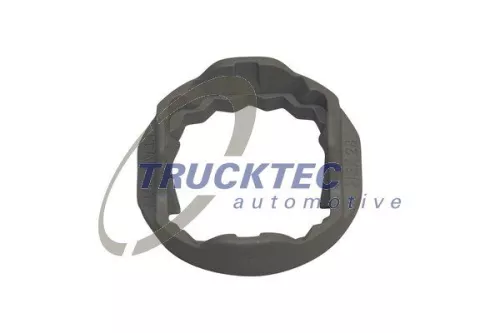 TRUCKTEC AUTOMOTIVE Locking Clip (01.36.132)