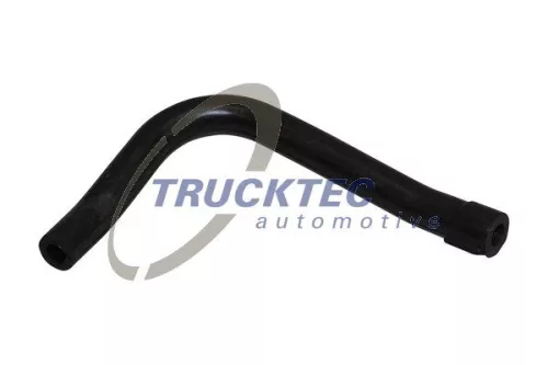 Hose, crankcase ventilation