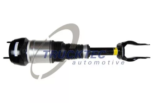 Air Suspension Strut