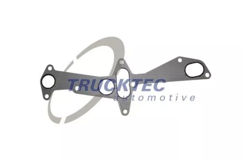 Gasket, oil filter housing