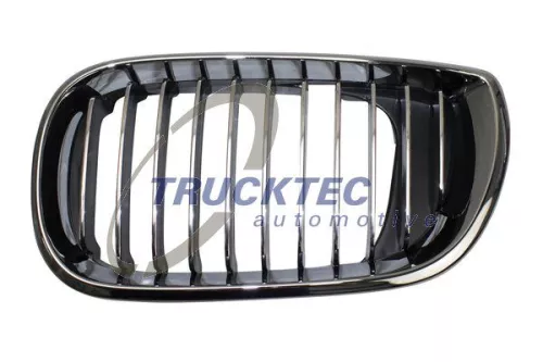 Radiator Grille