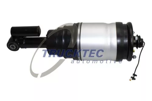 Air Suspension Strut