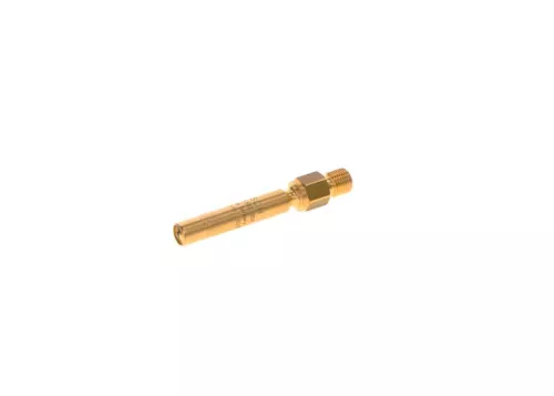 BOSCH Injector (0437502054)