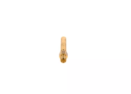 BOSCH Injector (0437502054)