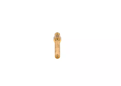 BOSCH Injector (0437502054)