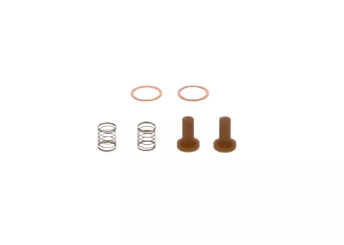 BOSCH Repair Kit, fuel pump (2447010011)