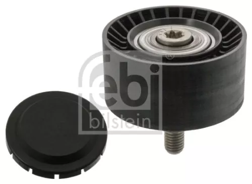 1x Deflection/Guide Pulley, V-ribbed belt