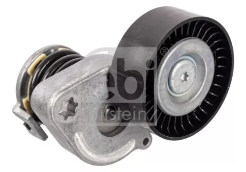 1x Belt Tensioner, V-ribbed belt