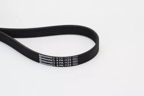 CONTINENTAL CTAM V-Ribbed Belt (6PK1125)