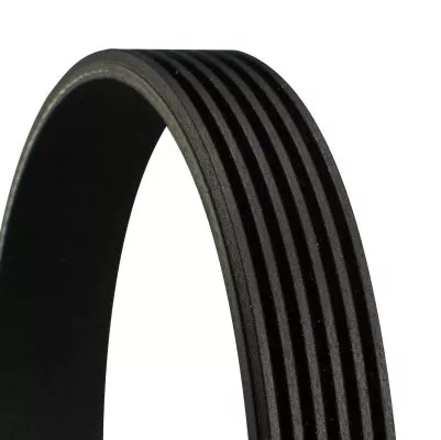 CONTINENTAL CTAM V-Ribbed Belt (6PK2445)