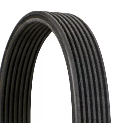 CONTINENTAL CTAM V-Ribbed Belt (7DPK2880)