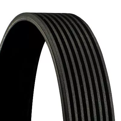 CONTINENTAL CTAM V-Ribbed Belt (8PK1538)