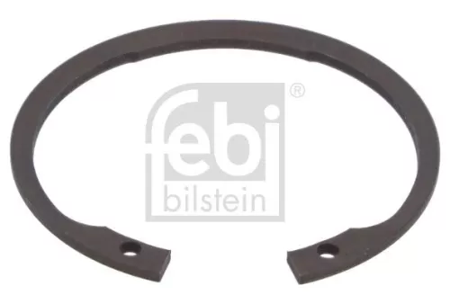 FEBI BILSTEIN 100x Circlip (01679)