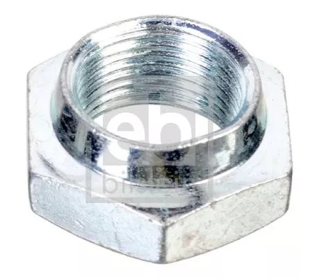 FEBI BILSTEIN 20x Nut, kingpin (02160)