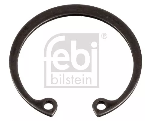 FEBI BILSTEIN 100x Circlip (02166)