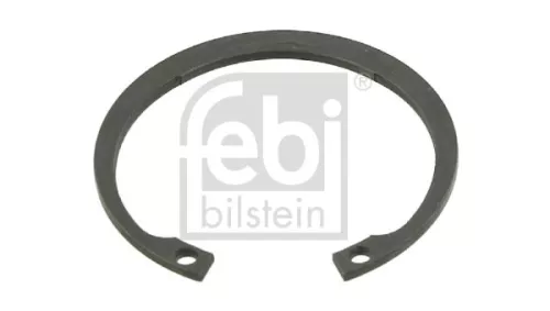 FEBI BILSTEIN 100x Circlip (02665)