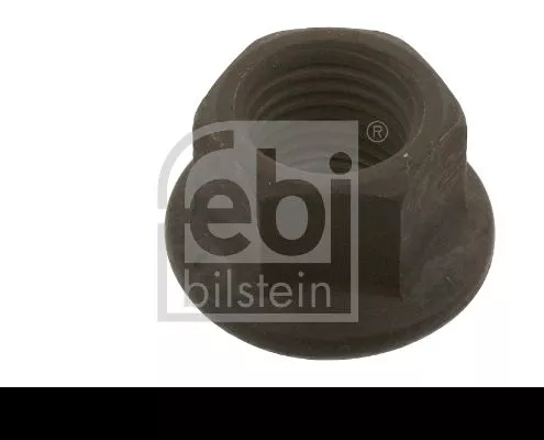 100x Wheel Nut