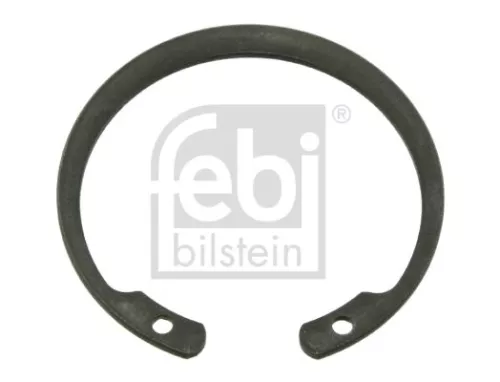 FEBI BILSTEIN 100x Circlip (04328)