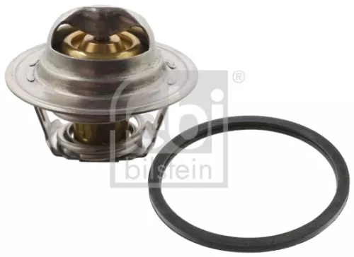 1x Thermostat, coolant