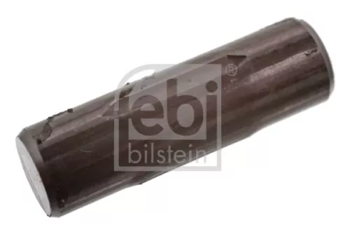 FEBI BILSTEIN 100x Spring Retaining Pin, brake shoe (06424)
