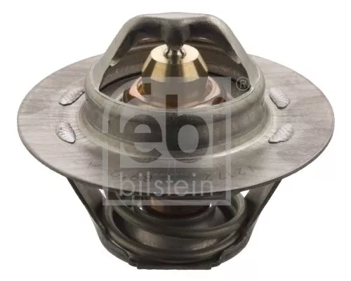 1x Thermostat, coolant
