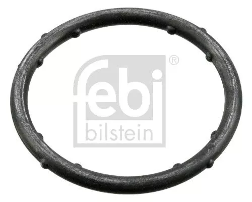 10x Gasket, coolant flange