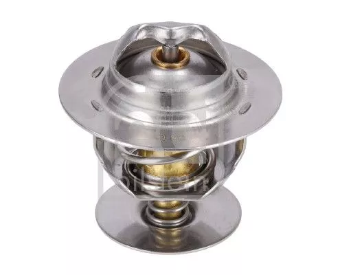 1x Thermostat, coolant
