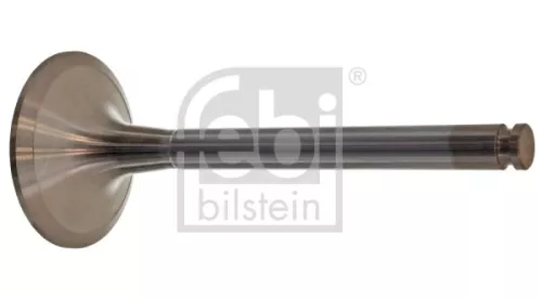 1x Intake Valve