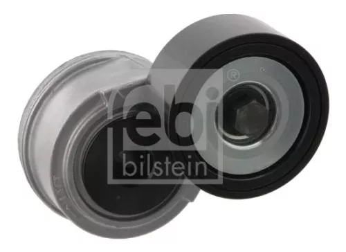 1x Belt Tensioner, V-ribbed belt