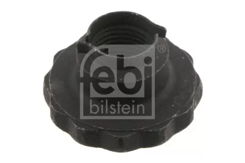 FEBI BILSTEIN 20x Nut, kingpin (32557)