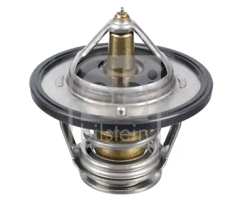 1x Thermostat, coolant