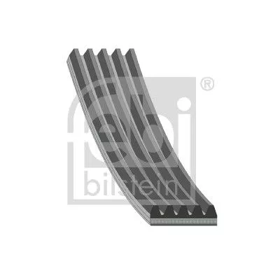 FEBI BILSTEIN 1x V-Ribbed Belt (37531)