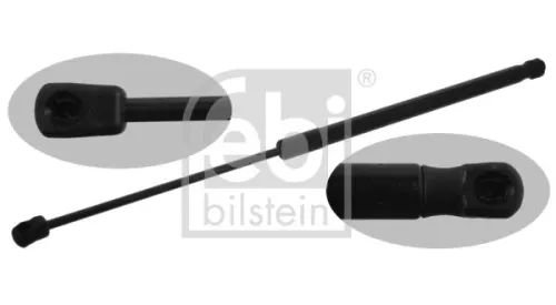 1x Gas Spring, bonnet
