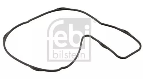 1x Gasket, water pump