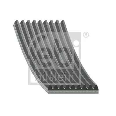 FEBI BILSTEIN 1x V-Ribbed Belt (45021)