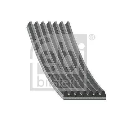 FEBI BILSTEIN 1x V-Ribbed Belt (45026)