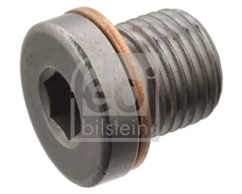 FEBI BILSTEIN 25x Screw Plug, axle drive (101020)