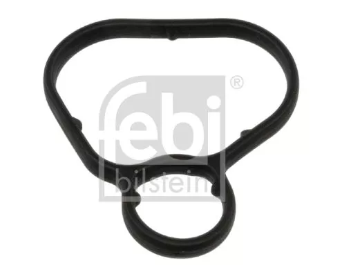 1x Gasket, oil cooler