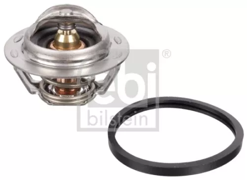 1x Thermostat, coolant