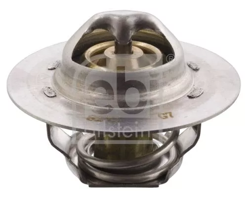 1x Thermostat, coolant