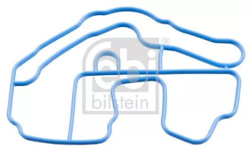 1x Gasket, thermostat housing