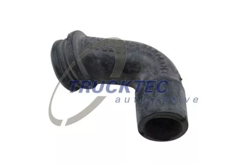 Hose, cylinder head cover ventilation