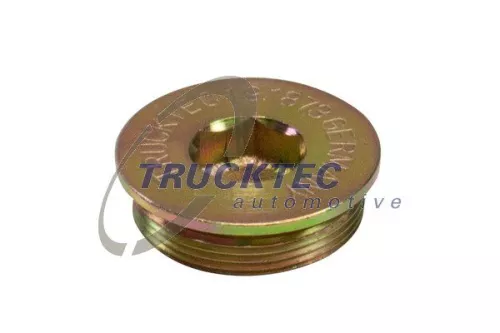 Screw Plug, crankcase