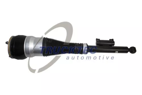 Air Suspension Strut