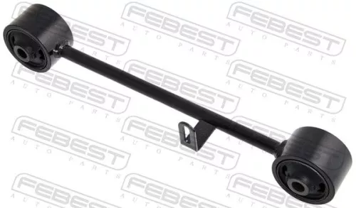 FEBEST Control/Trailing Arm, wheel suspension (0125-LC120U2)