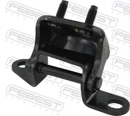 FEBEST Door Hinge (0199-HDUZJ100RRU)