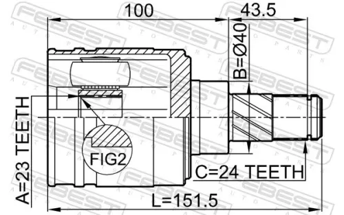 FEBEST Joint Kit, drive shaft (0211-N16JP)