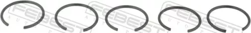 FEBEST Circlip, kingpin (CC-1-29X2-2-PCS5)