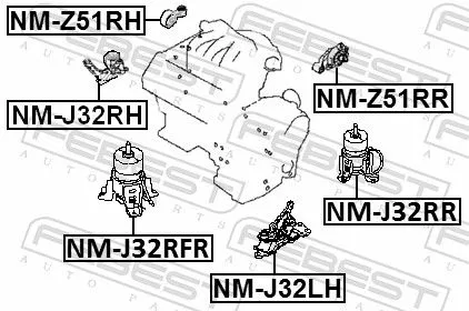 FEBEST Mounting, engine (NM-Z51RR)