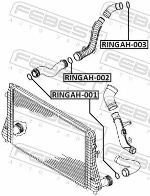 FEBEST Seal Ring, charge air hose (RINGAH-003)